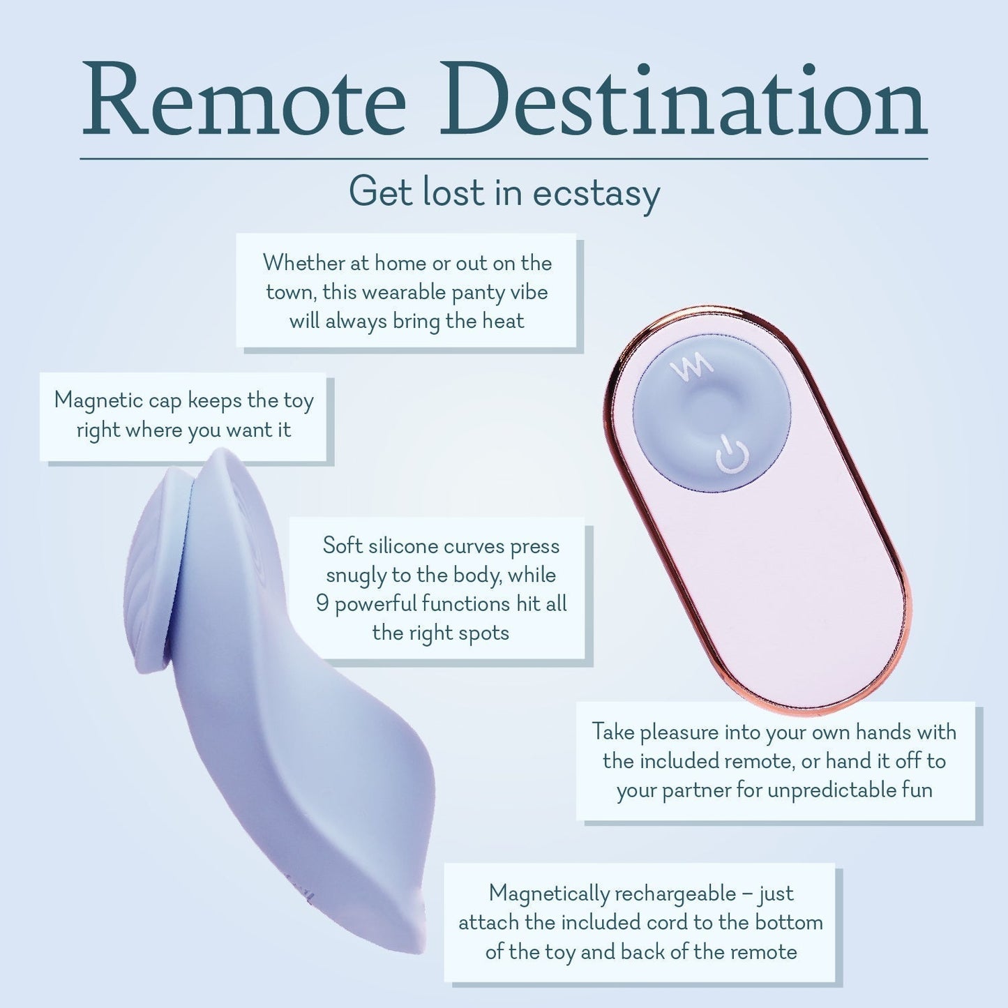 Remote Destination Panty Vibe