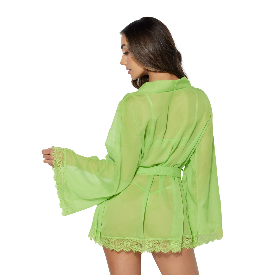 Shavon Lace & Chiffon Robe Set