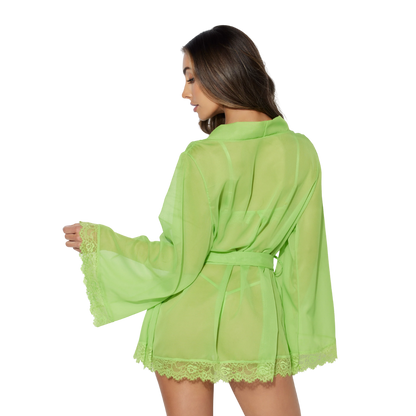 Shavon Lace & Chiffon Robe Set